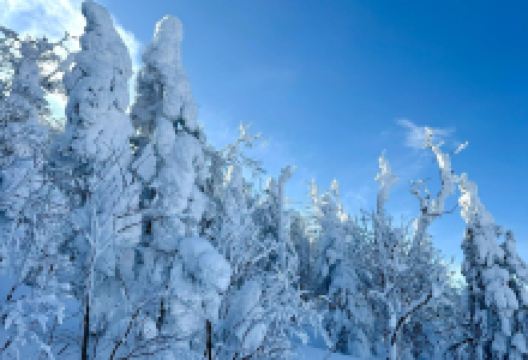 Crumpet Cafe美食图片