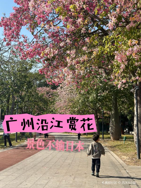 广州海门鱼仔·潮汕味(海港城店)攻略,海门鱼仔·潮汕味(海港城店)套餐/特色菜品推荐_菜单/人均消费/电话/地址/菜系/点评/营业时间_餐厅 ...