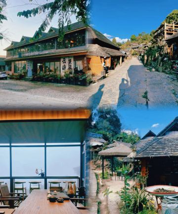 大豫仓·二十四茶海赏云宿(澜沧景迈山古树茶林店)图片