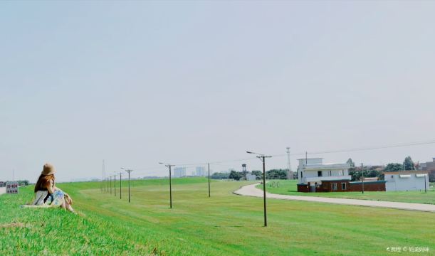 Gallery 4