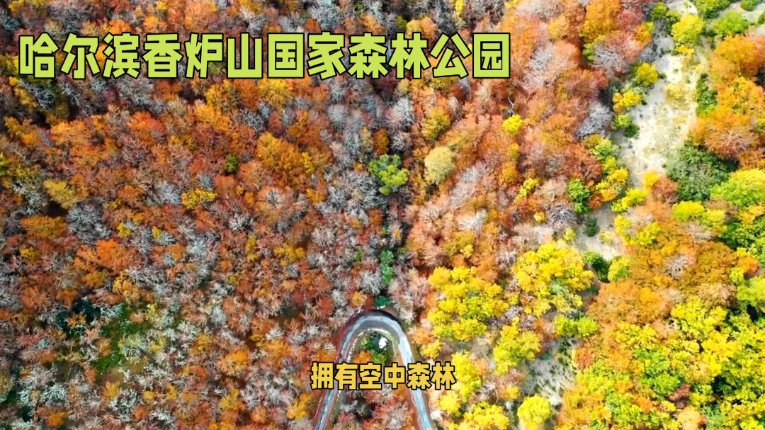 哈尔滨香炉山国家森林公园-自然美景与人文景观的完美结合