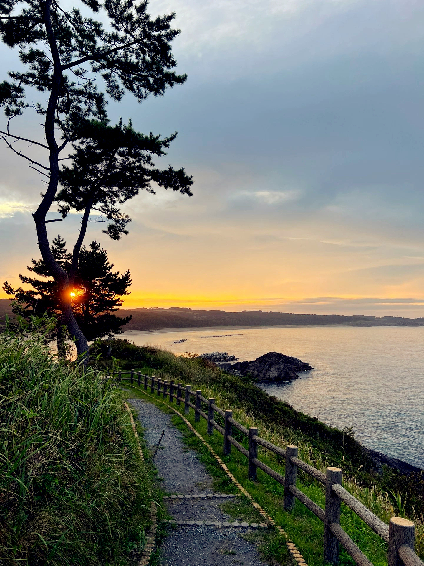 在种差海岸看了一次日落🌅😍