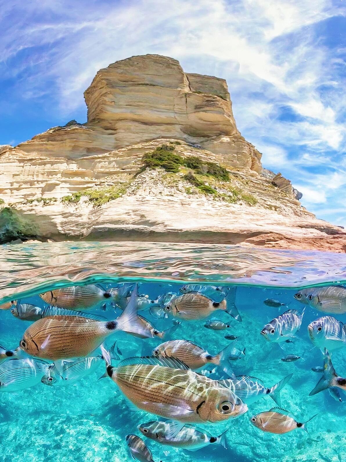 法国科西嘉岛🌊绝美小众海岛 顶级玻璃海滩！