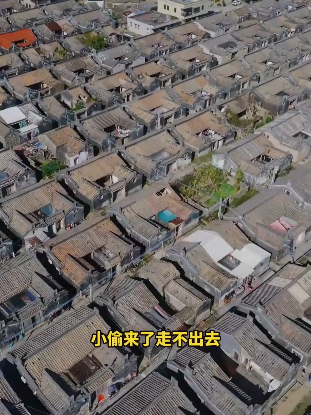 中国最整齐的村庄 ，网友戏称为迷宫村，广东华溪村#广东旅行 #玩转户外