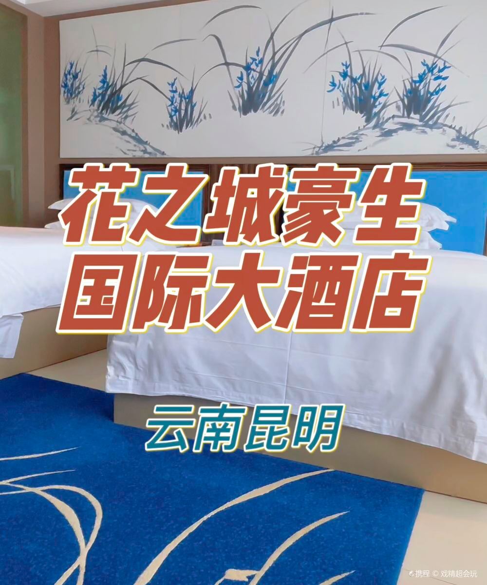 昆明花之城豪生国际大酒店图片