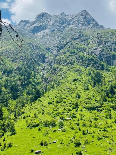 禹羌饭庄餐厅图片