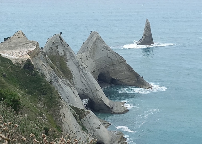 内皮尔的基德纳珀斯角：海岸线上的宝藏