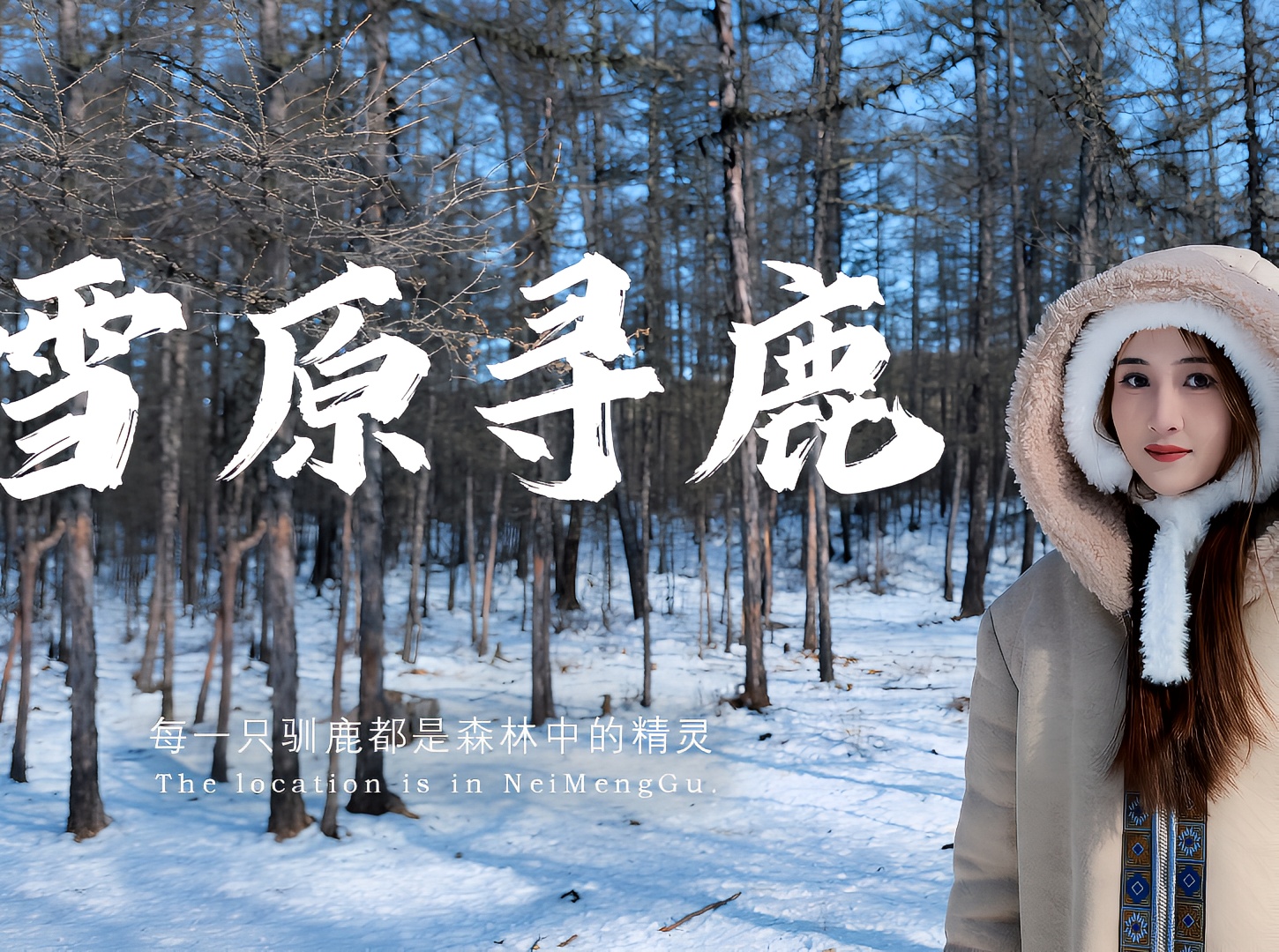 冷极村驯鹿 林深时见鹿  这个冬天 我在中国冷极 探访中国最后一个驯鹿部落 追逐一场冰雪童话的梦 走