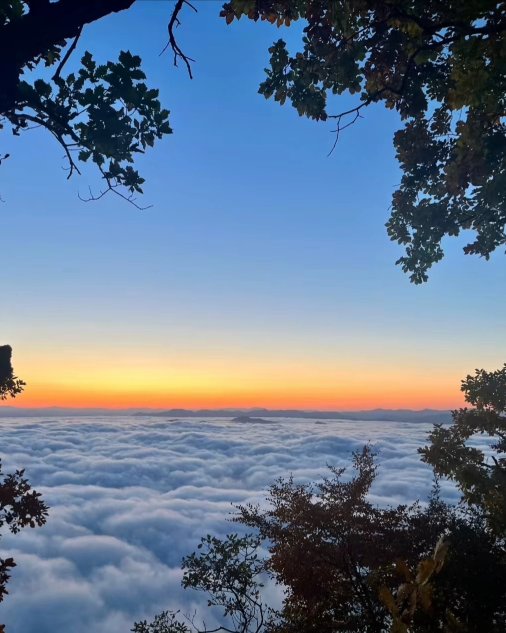 探索千年遗韵，漫步云端仙境——五女山邀您共赴一场时光之旅！