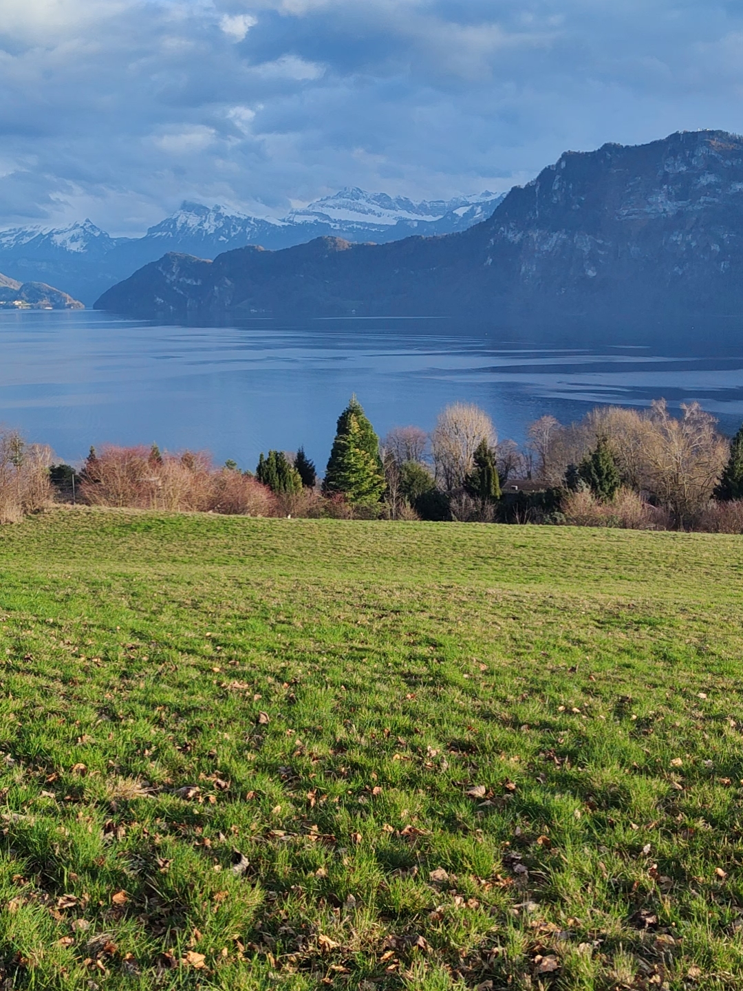 瑞士卢塞恩冬天的雪山大湖绿草地