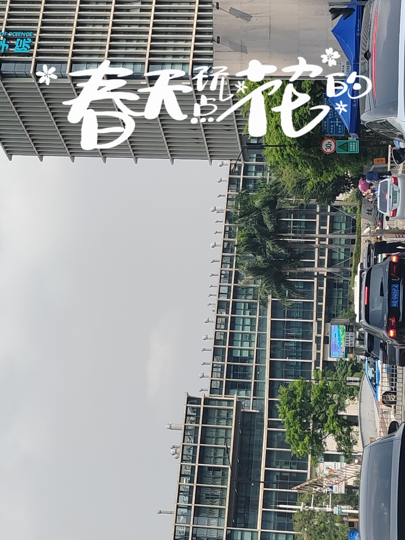 南方科技大学校园日