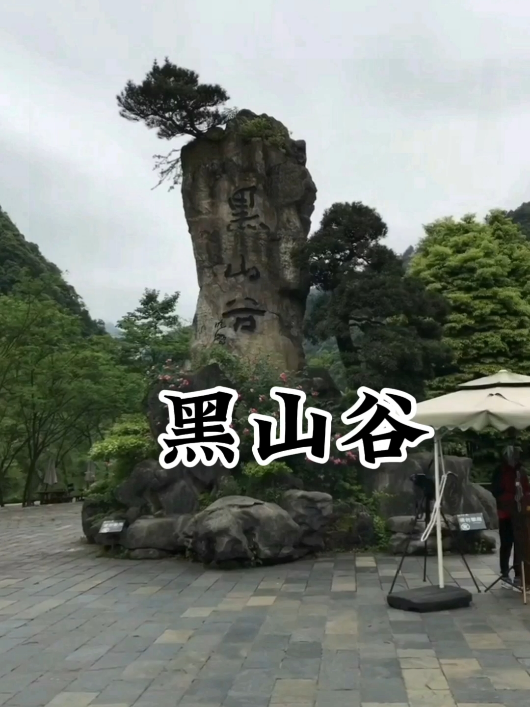 《重庆黑山谷深度游攻略，带你玩转每一处！》