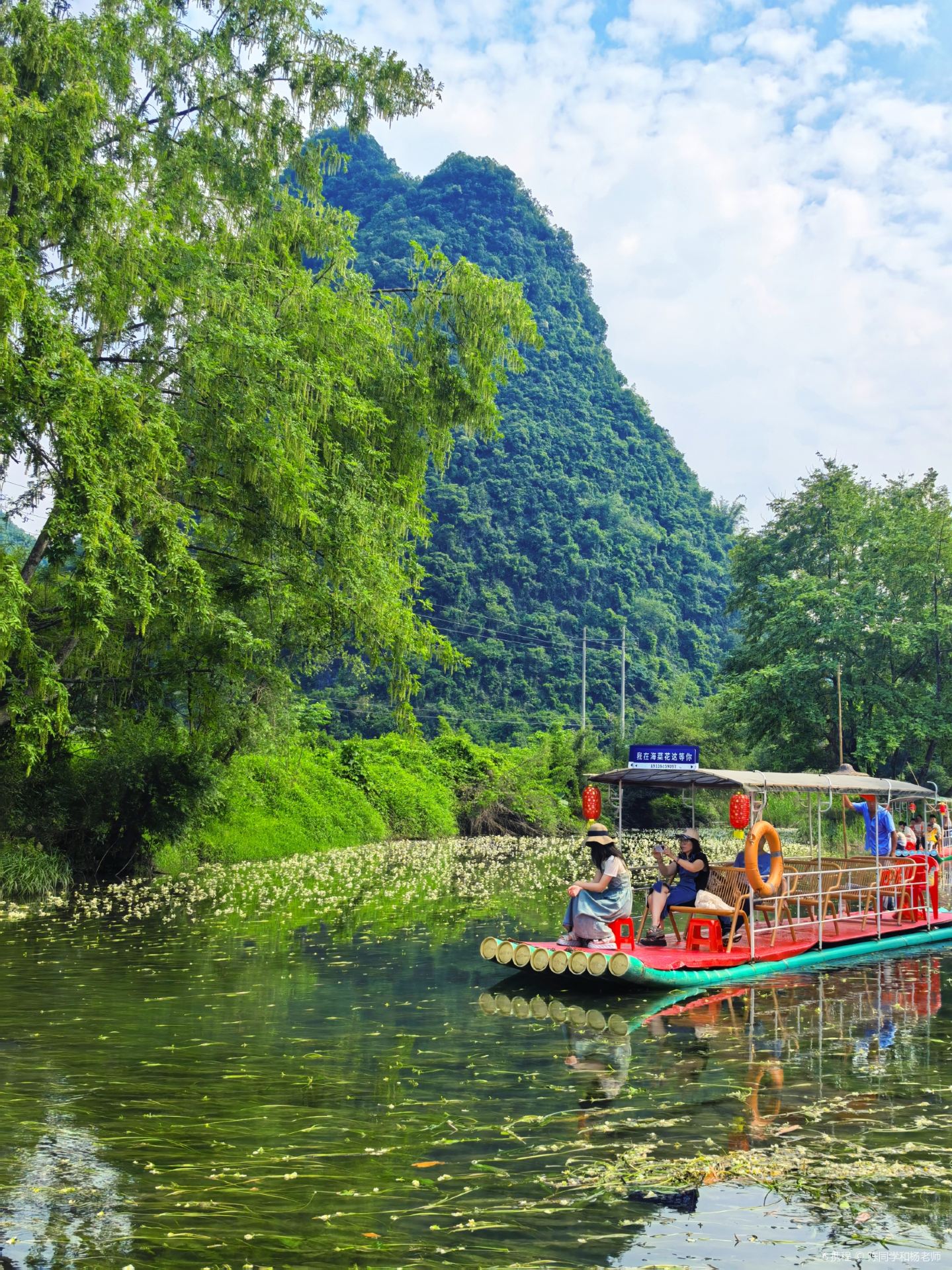 乌石海菜花湿地公园