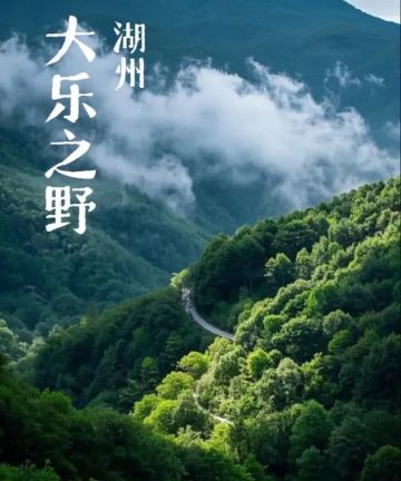 大乐之野(莫干山碧坞店)图片