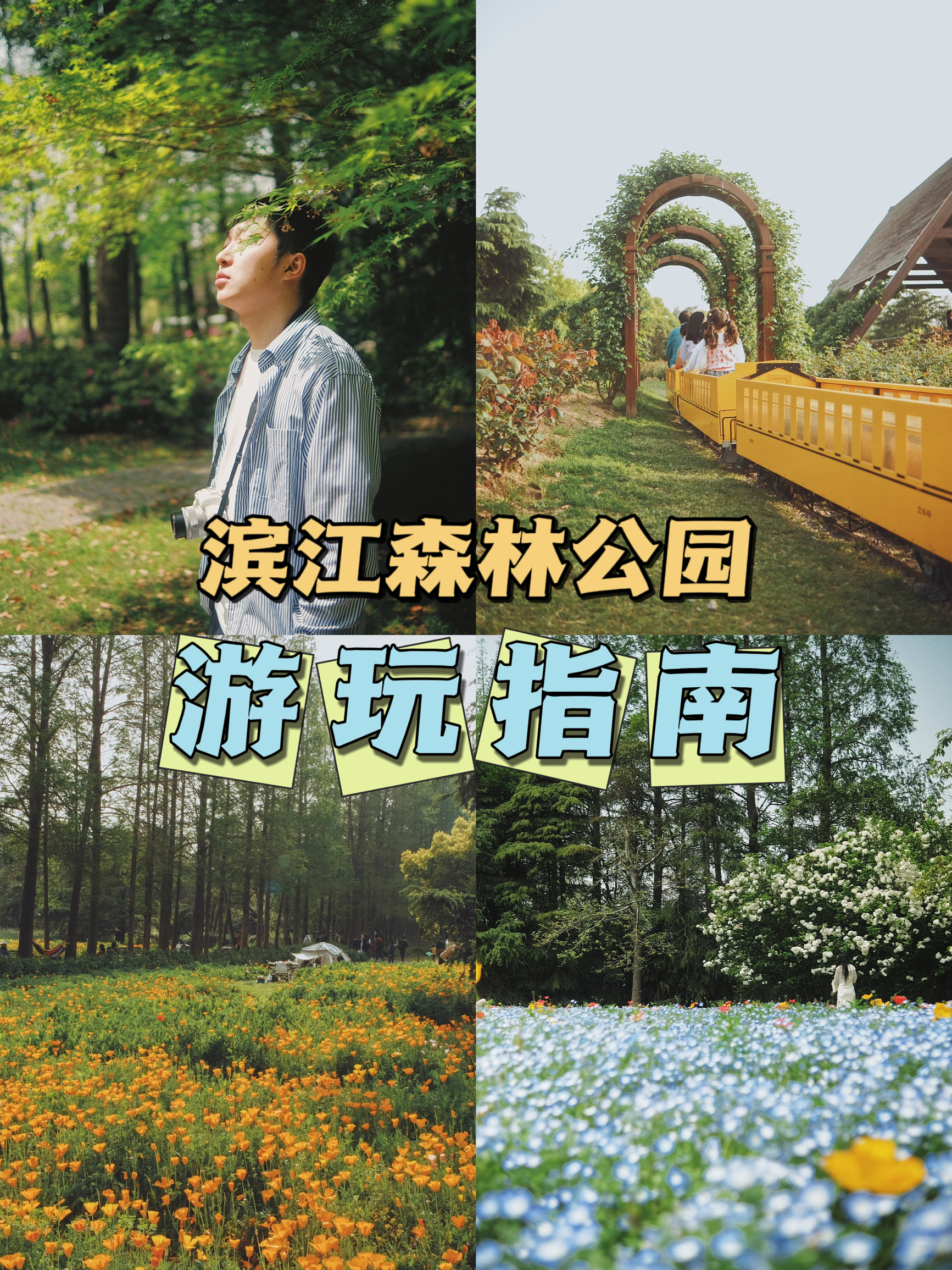 拥抱花与海🌹上海滨江森林公园4-5月游玩指南