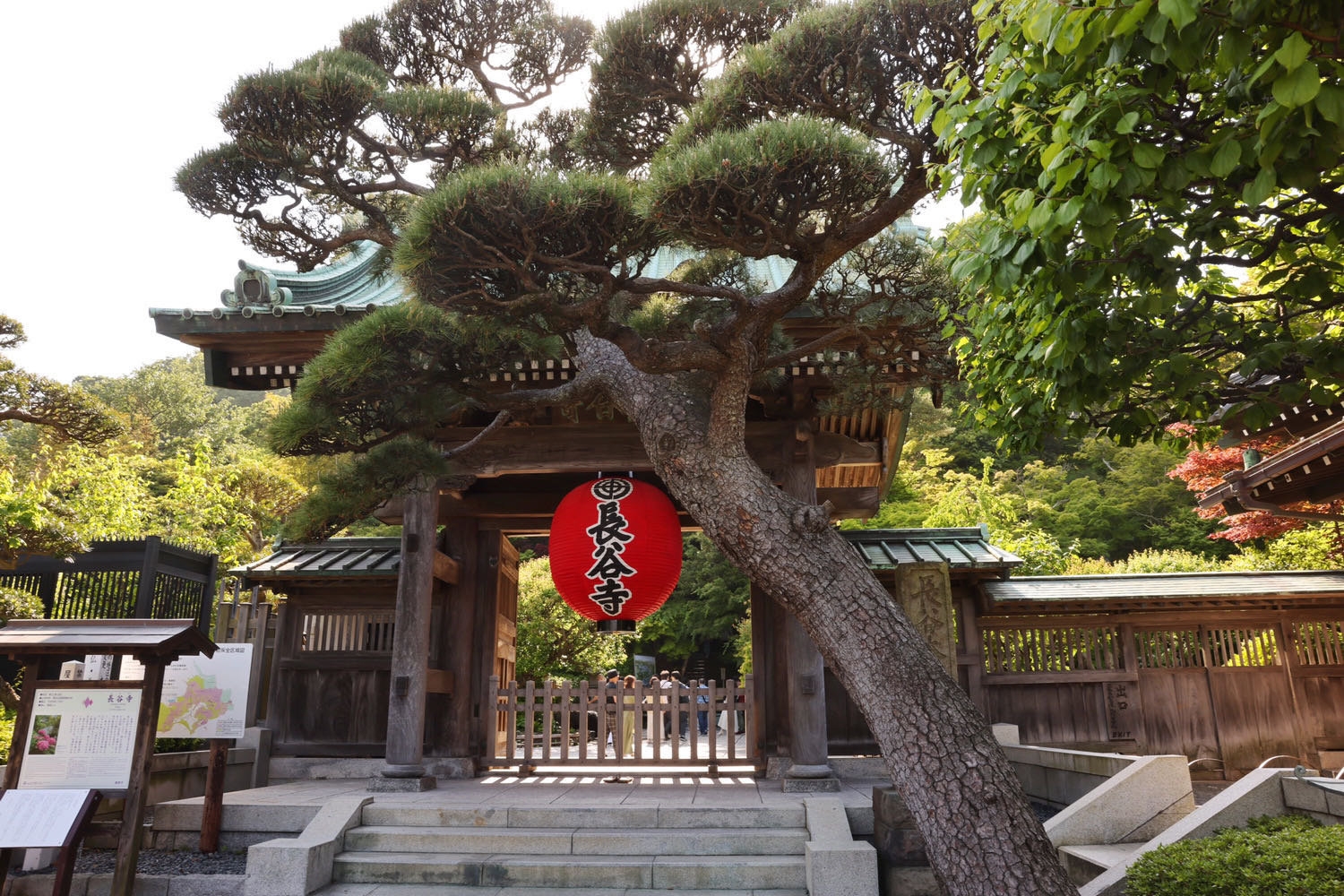 “花的寺庙”-日本长谷寺