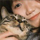 仪表堂堂的小唐