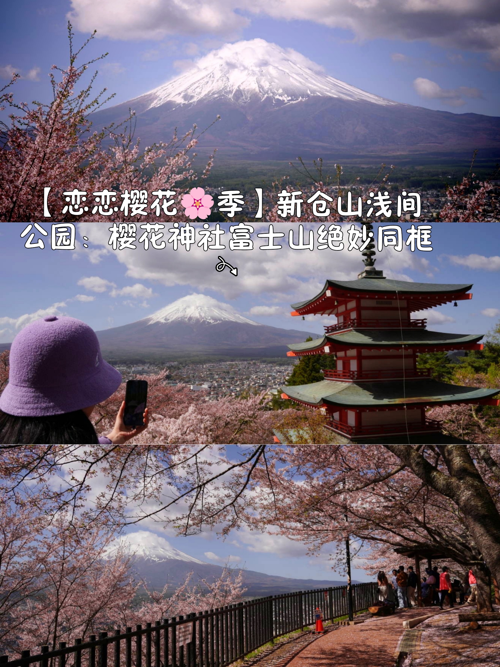 【恋恋樱花🌸季】新仓山浅间公园：樱花与神社与富士山绝妙同框