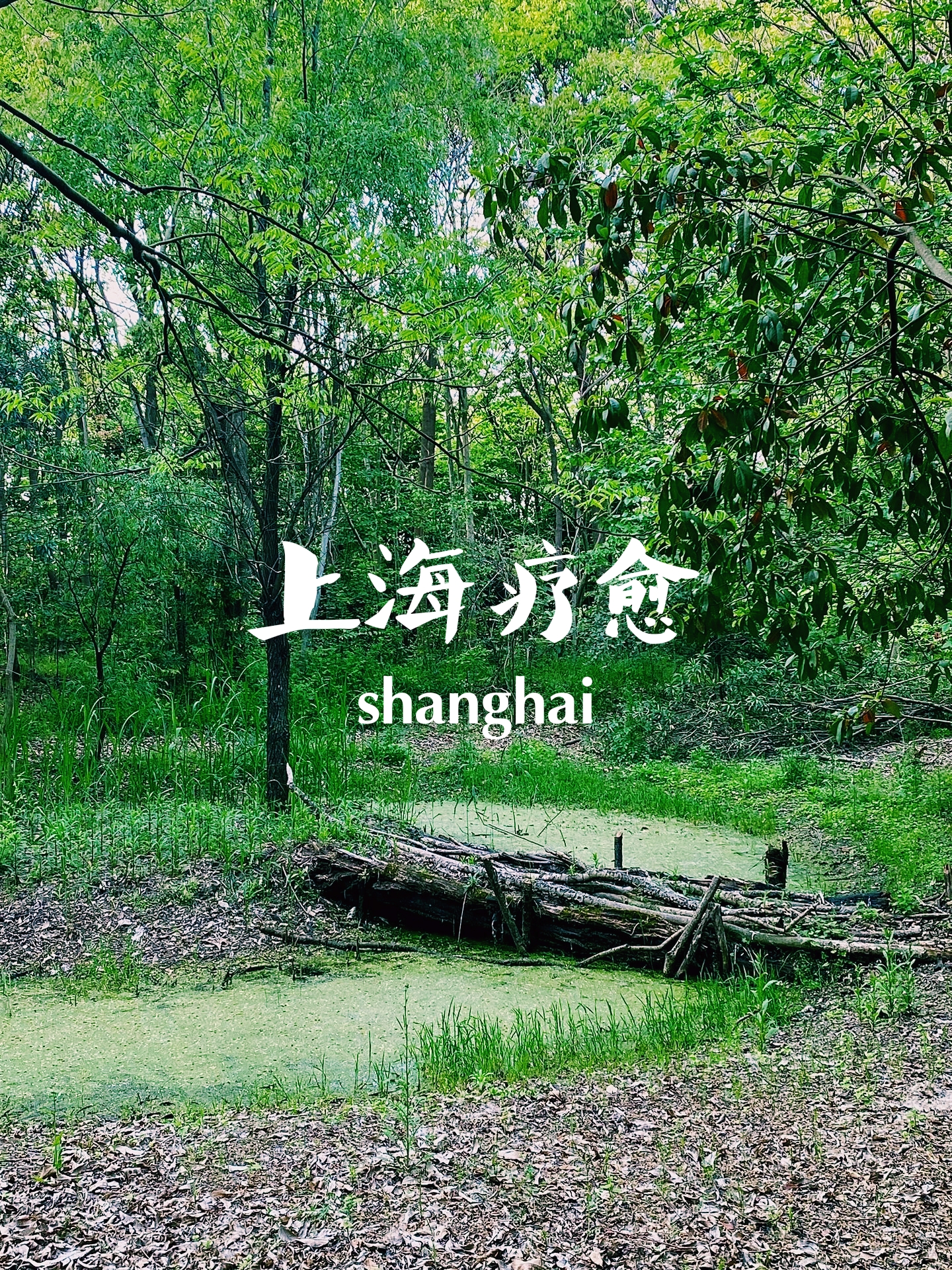 上海隐秘的疗愈圣地😘😘😘