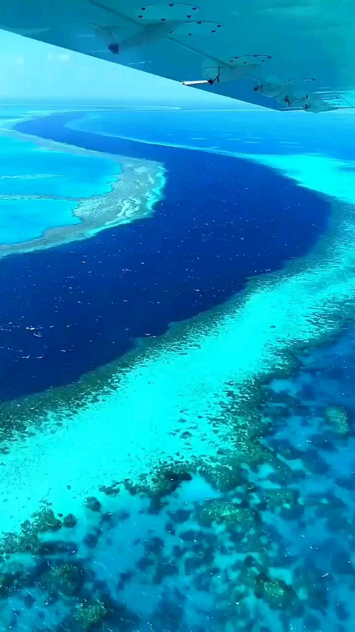 这就是地理课本上的《 珊瑚海搜 》，它是全世界最大的海，面积相当于半个中国，位于太平洋西南部海域，因