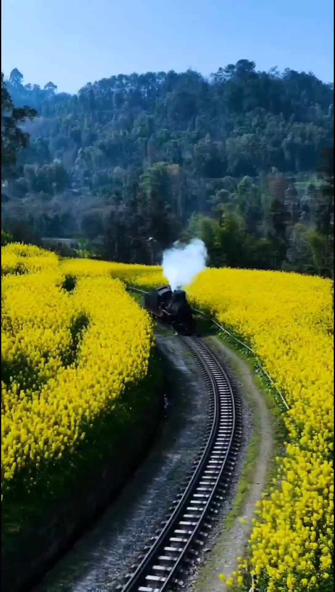 嘉阳小火车：开往春天的小火车
