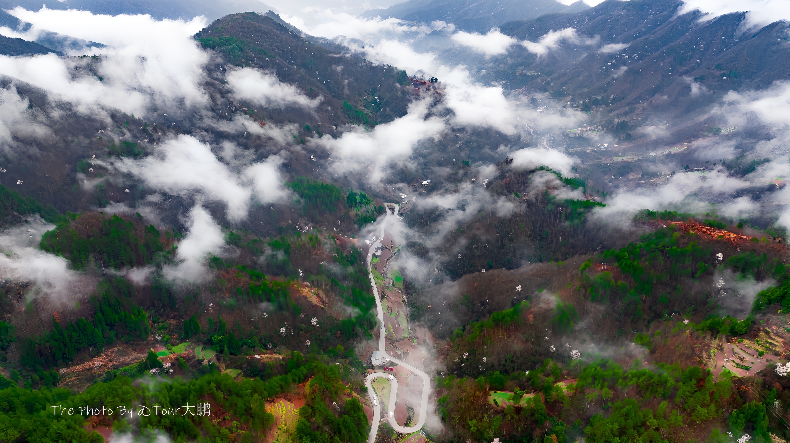 踏春李塘村，乡村振兴展新颜