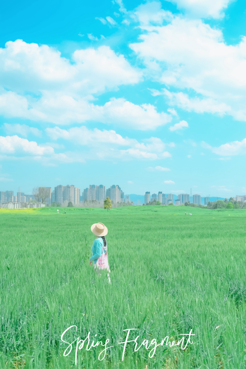 茶百道(黉街店)