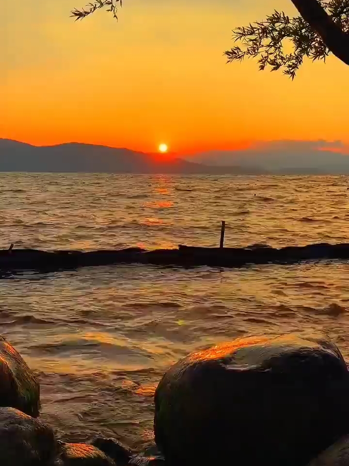 停下脚步，欣赏一下唐王湖的落日🌇