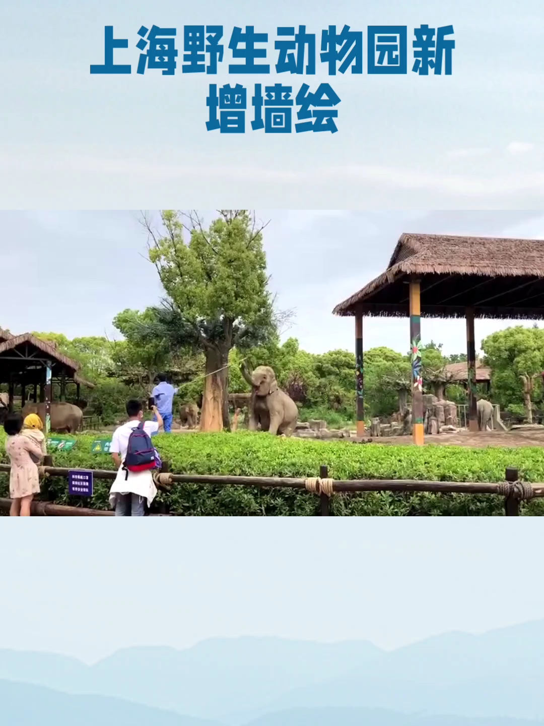 上海野生动物园：探秘珍稀动物王国