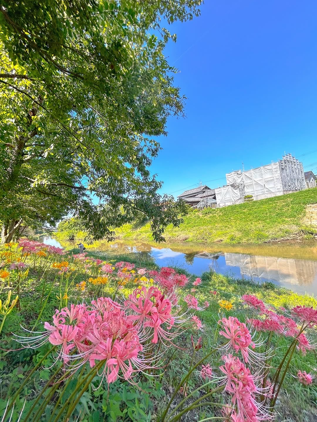 八反田餐厅图片