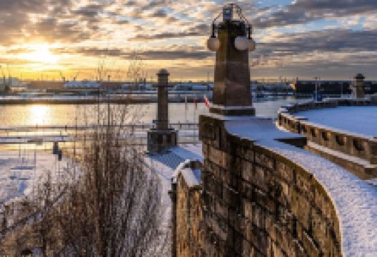 Wyszak Family Brewery美食图片