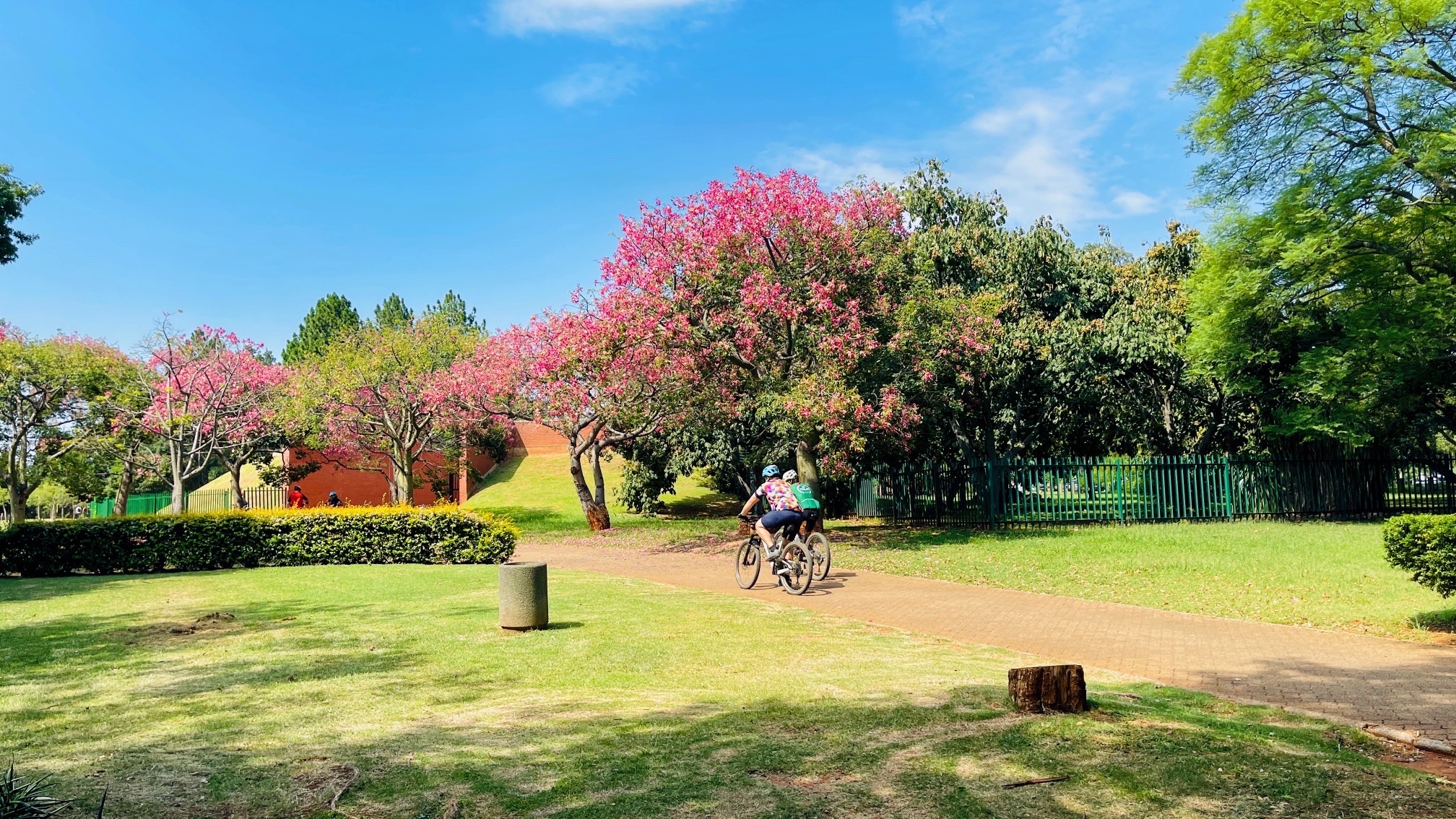 南非约翰内斯堡植物园，免费人少风景好