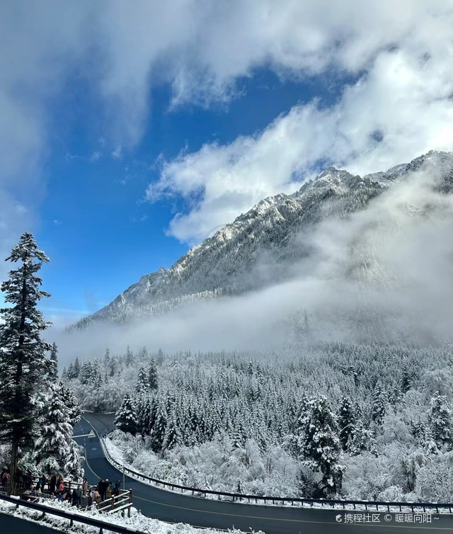 人间仙境 #沉浸式入冬 真的只有亲眼所见九寨沟雪景才能感受大自鹊哪