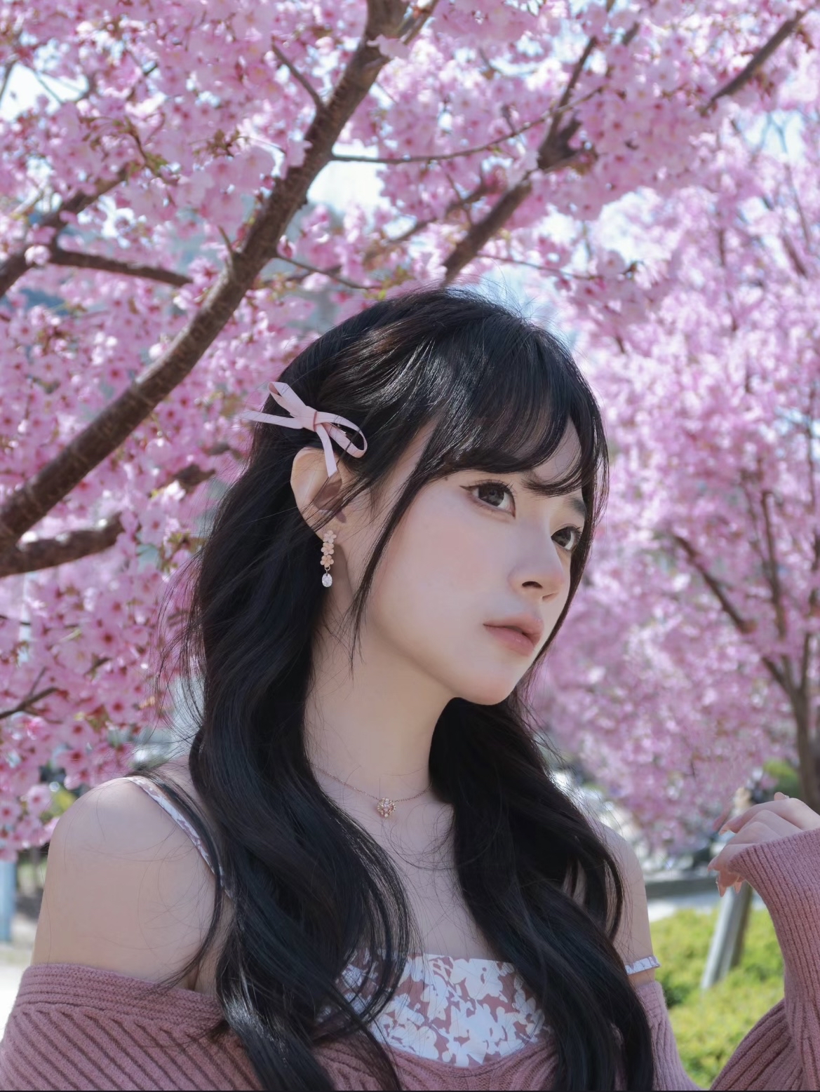 💕不当樱花难民！大阪超绝美且超出片的满开樱花攻略来啦！