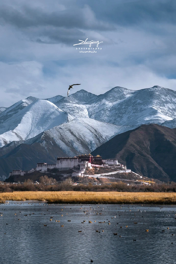 西藏旅游攻略：梦幻之旅，邂逅高原之美🌄