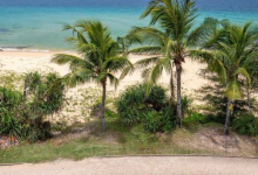 天鹅岛景点图片