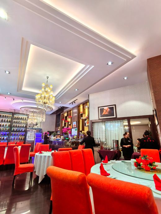 Gallery 3