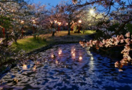 小城公园景点图片