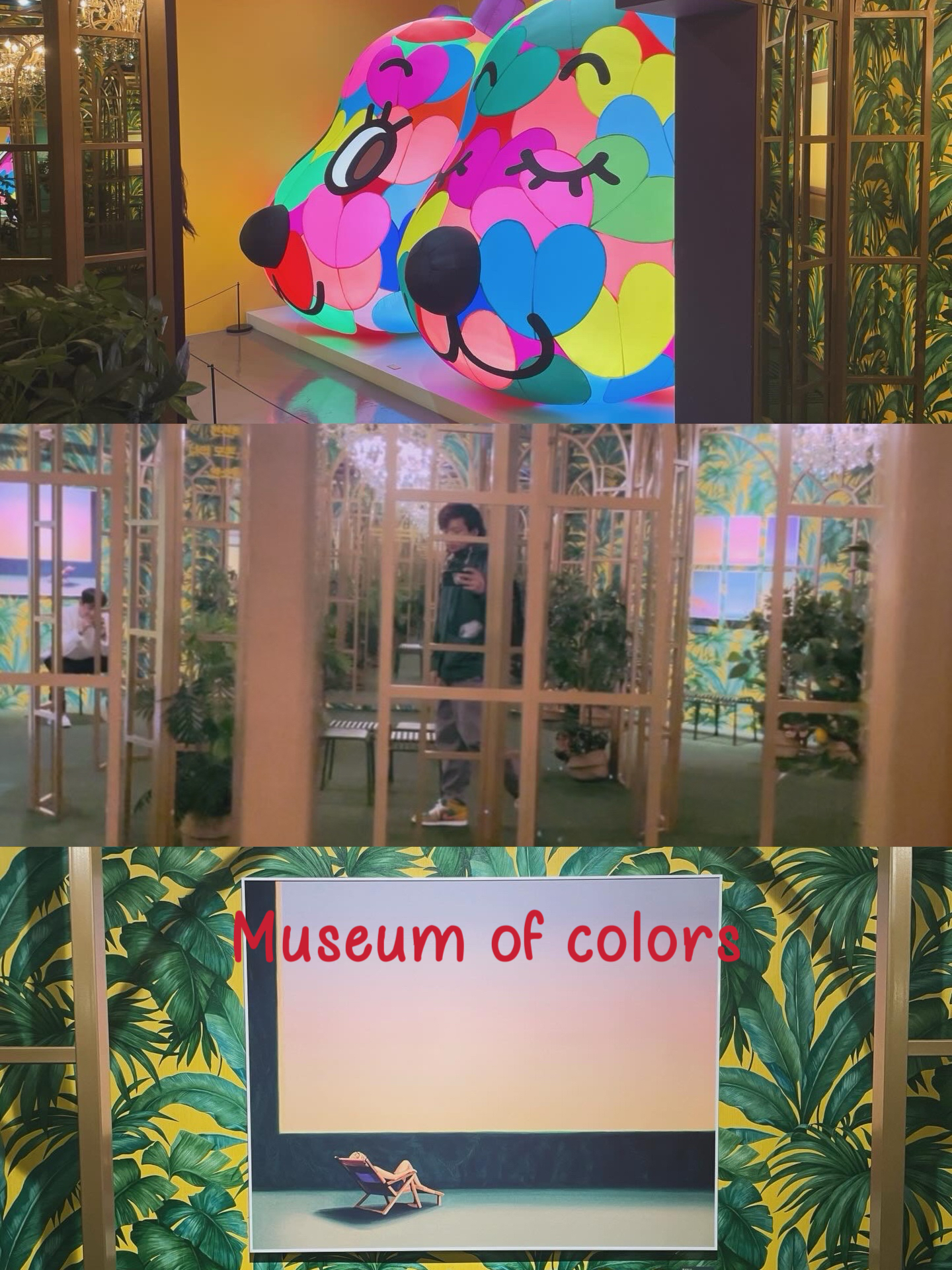 韩国丽水|色彩博物馆🌈