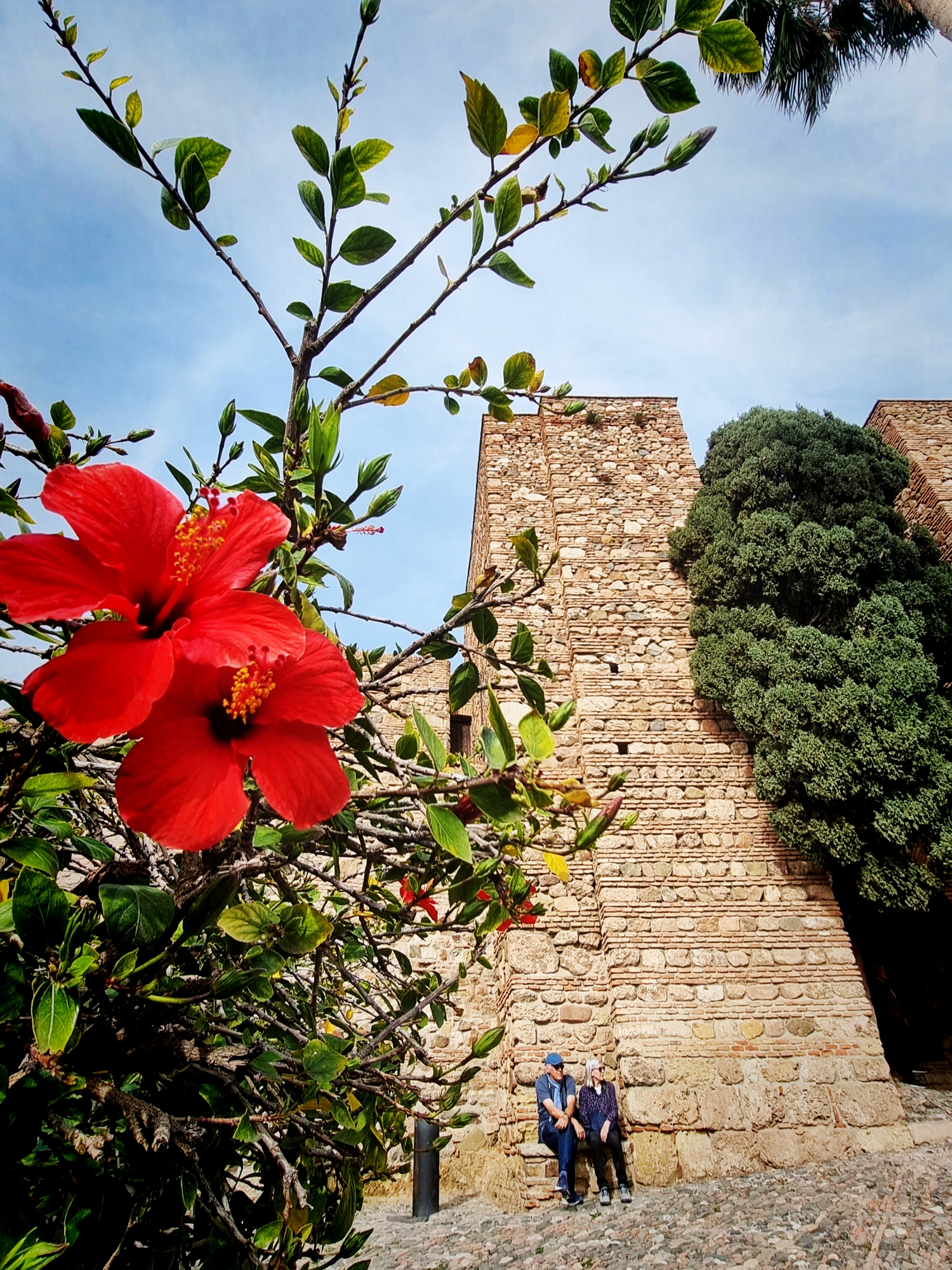 西班牙旅行｜0元徒步打卡Malaga 美丽城堡！💙