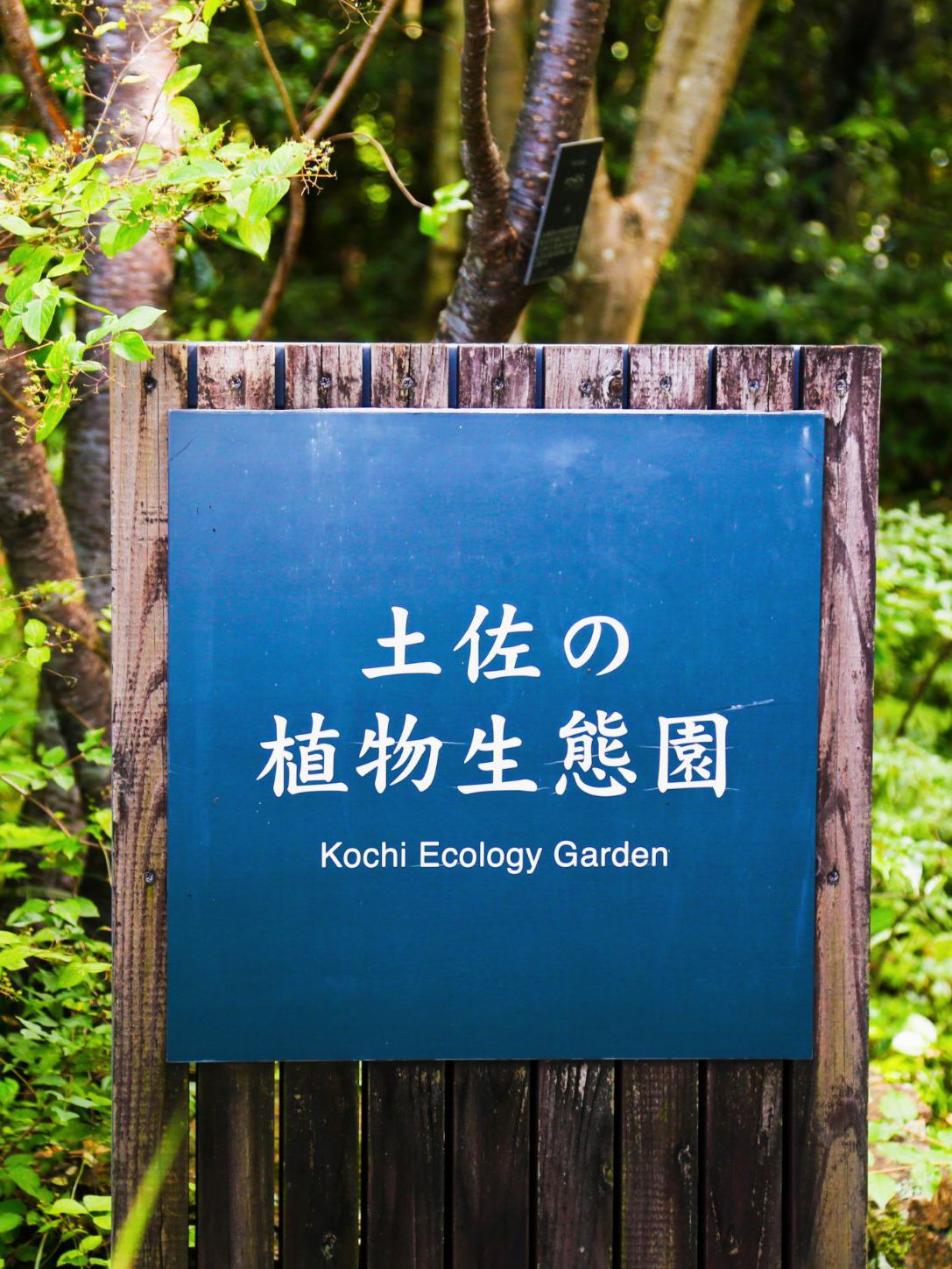 日本高知县牧野植物园