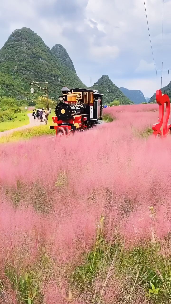 小众网红打卡地 贵州康养避暑之神泉谷景区千亩粉黛草