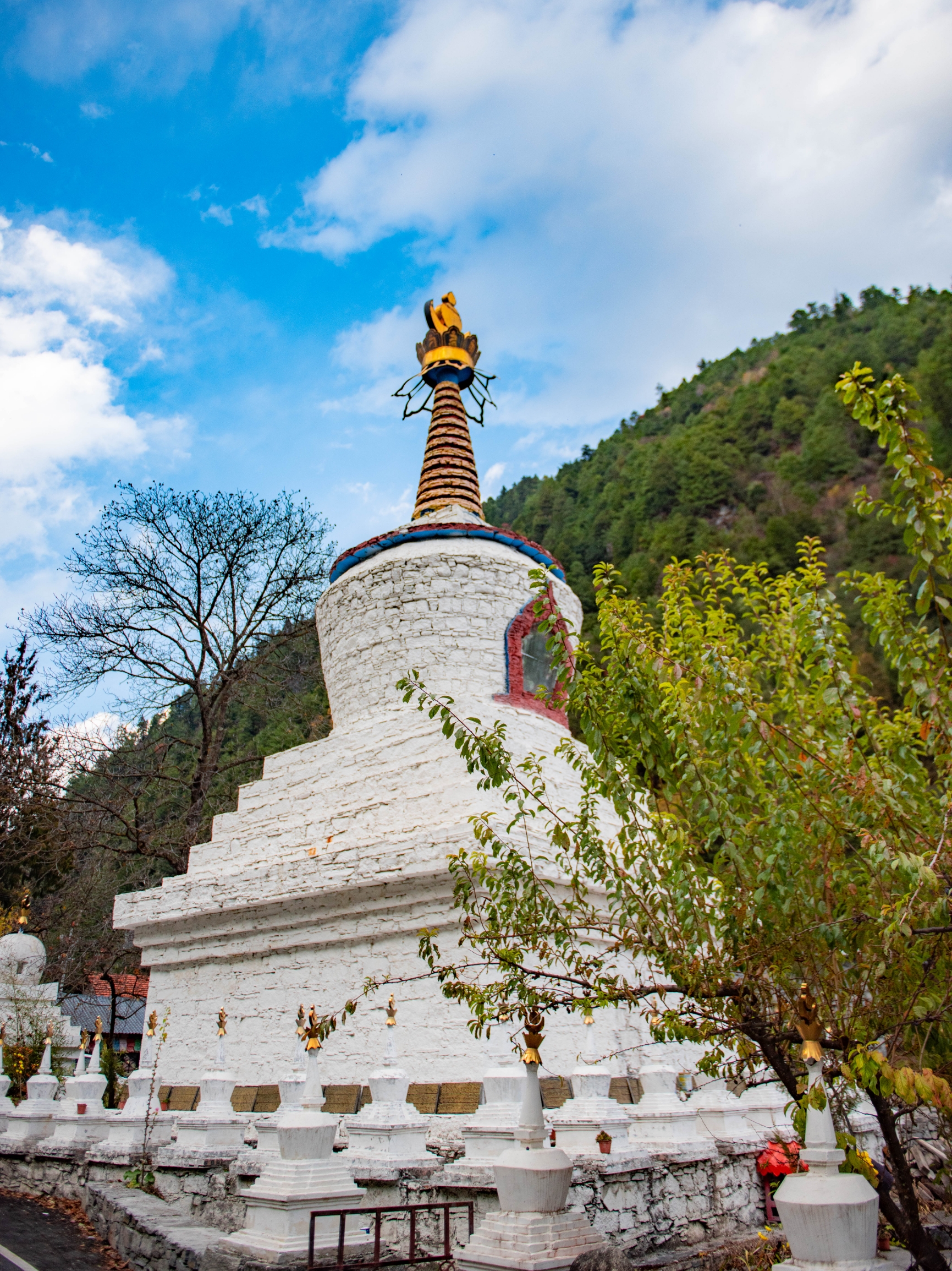 绵虒老陈记豆腐庄