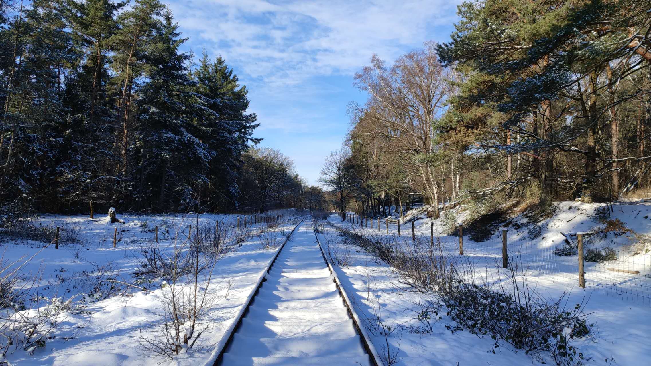 漫步limburg郊野公园赏雪。