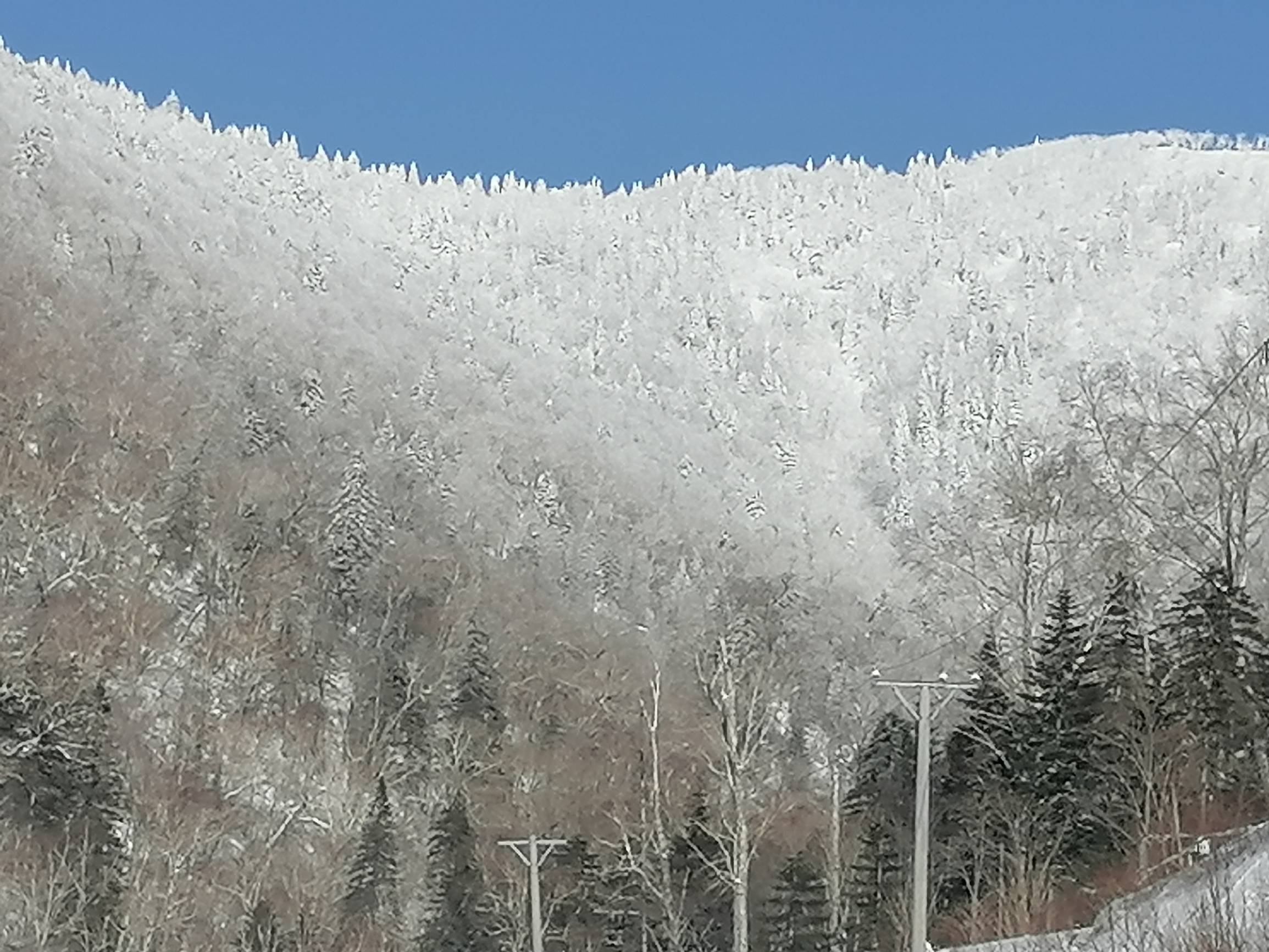 老铁们回顾一下冬天的美景，真的很好看