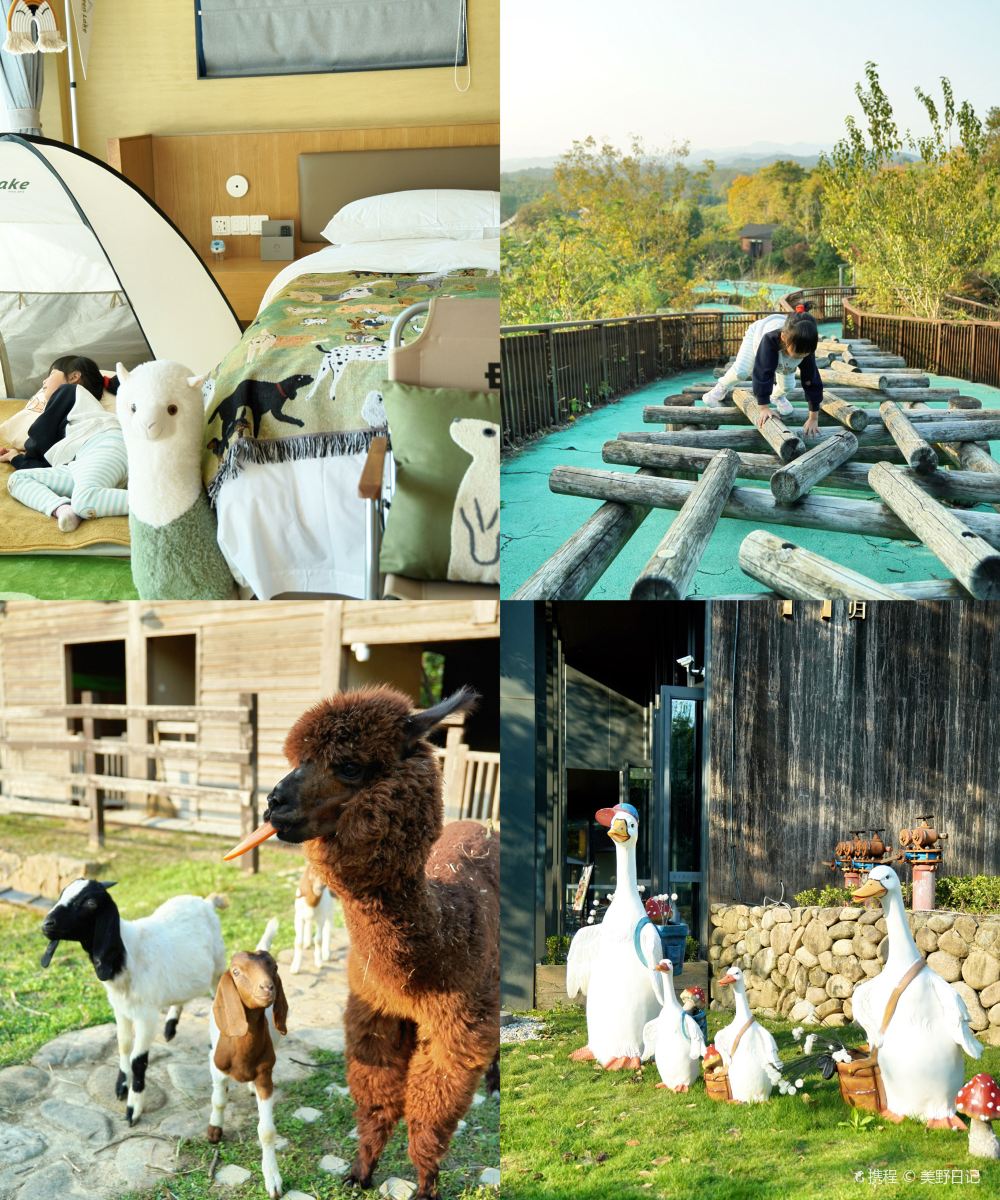 莫干溪谷Sólarfrí度假酒店图片