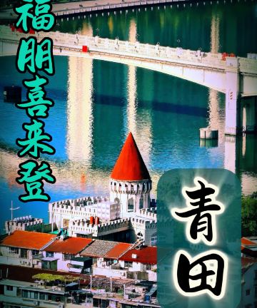 青田福朋喜来登酒店图片