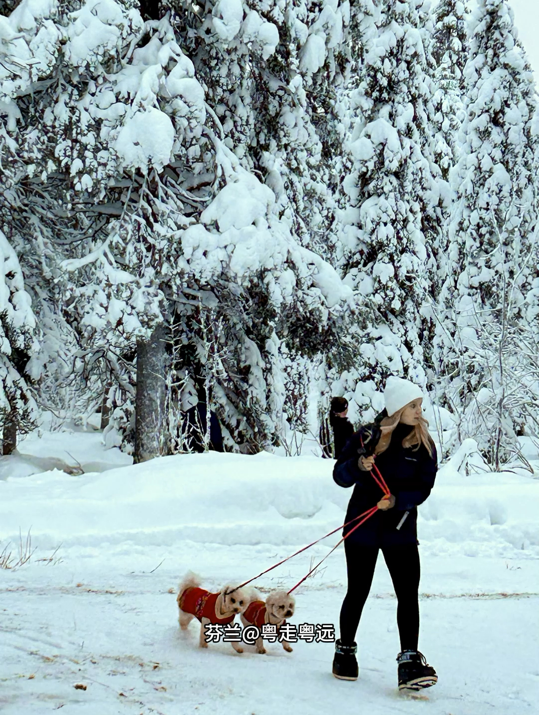美如童话的芬兰 冬天有什么好玩的