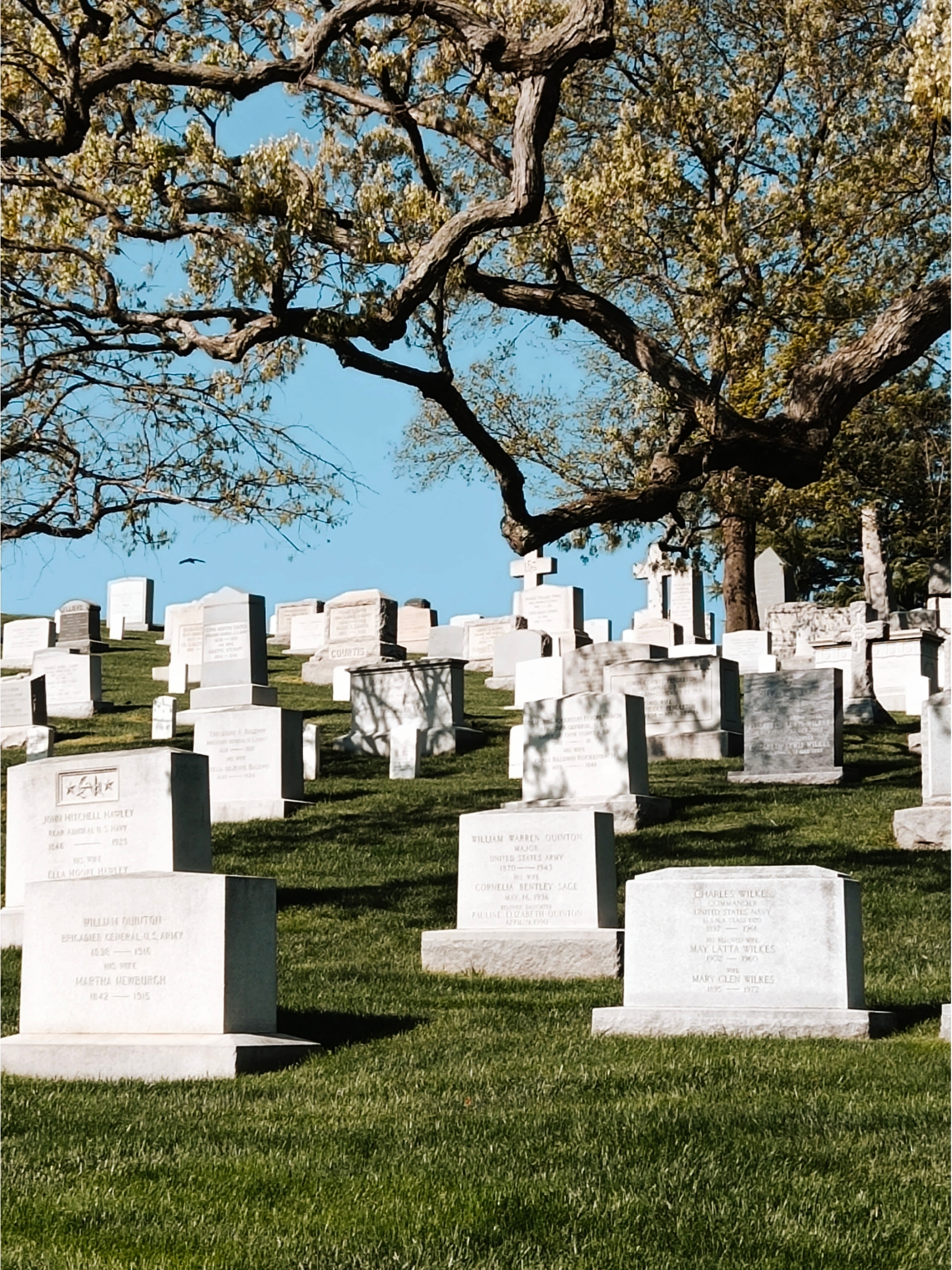 如果你来到华盛顿特区，一定不要错过参观阿灵顿公墓的机会。阿灵顿公墓是美国历史上最重要的公墓之一，位于