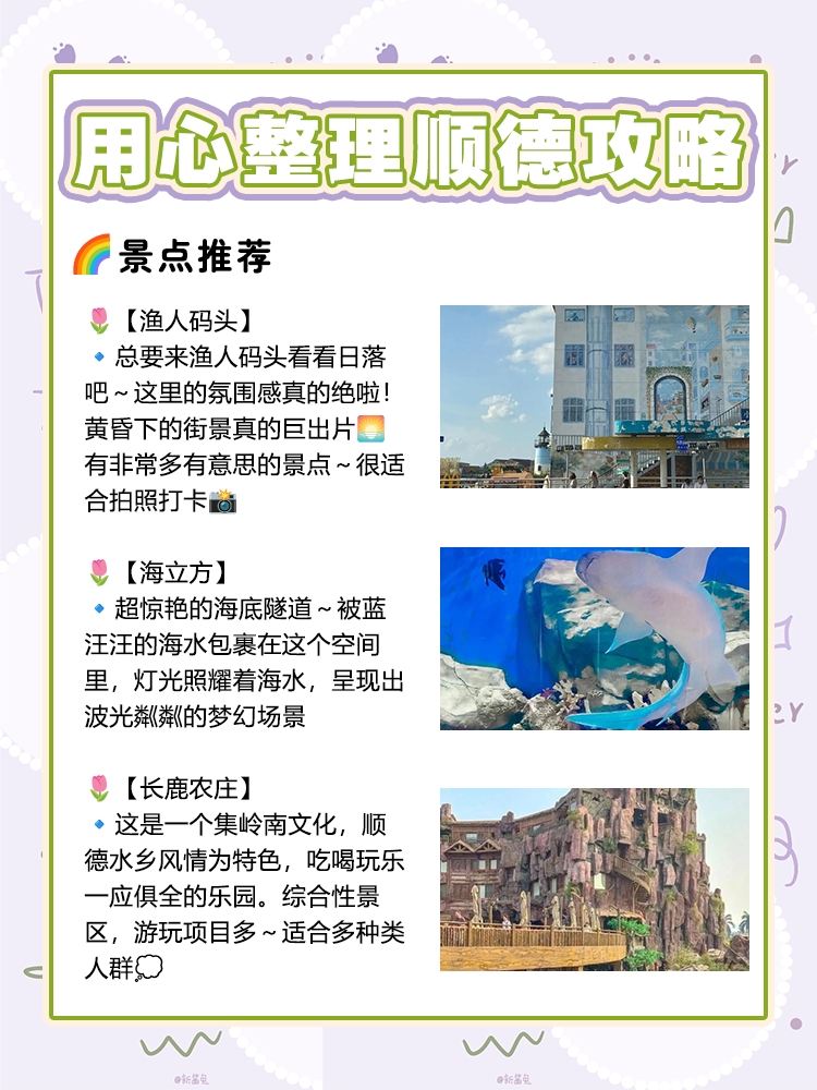 Gallery 3